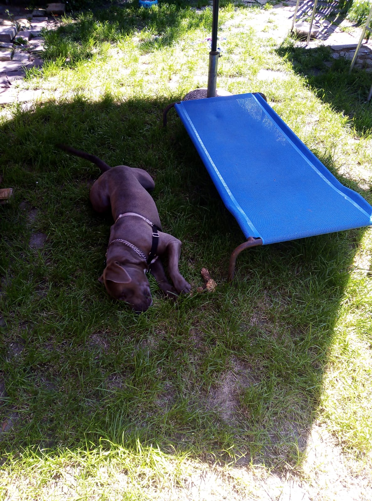 Il riposo del guerriero!